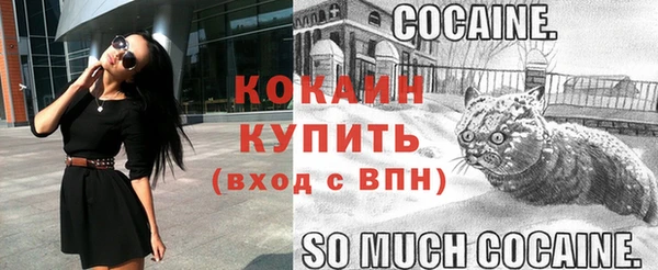прущие грибы Лиски