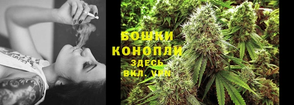 прущие грибы Лиски