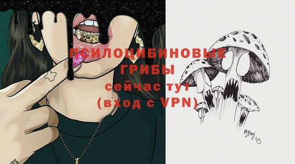 винт Липки