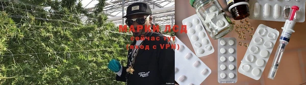 винт Липки