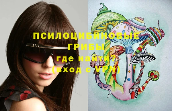 винт Липки