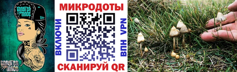 MEGA зеркало  как найти закладки  Монино  Галлюциногенные грибы MAGIC MUSHROOMS 